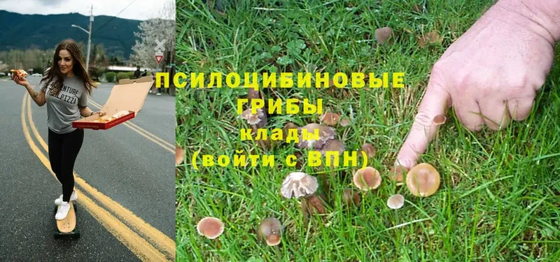 Галлюциногенные грибы Magic Shrooms  mega ССЫЛКА  Копейск 